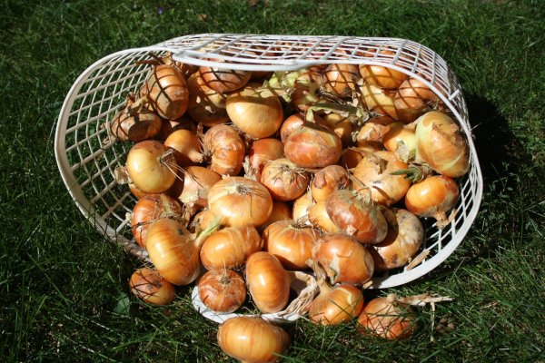Оригинальные ссылки кракена